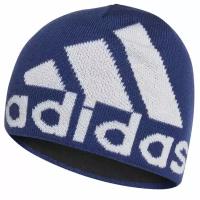 Детская шапка Adidas Big Log Be A.R. синяя