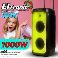 Акустическая колонка ELTRONIC 20-18 FIRE BOX 1000