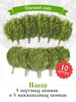 Набор веников для бани Пихтовый и Можжевеловый по 5 штук
