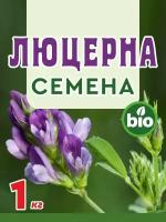 Люцерны семена для посева