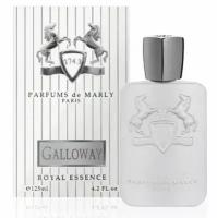 Туалетные духи Parfums de Marly Galloway 125 мл