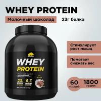 Протеин сывороточный PRIMEKRAFT Whey Protein, «Молочный шоколад» (Milk chocolate), 1800 гр, банка