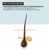 Шампунь L`oreal Professionnel Scalp Advanced для жирных волос, 1,5 л