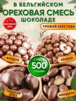 Ореховая смесь в бельгийском шоколаде 500гр