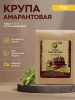 Амарантовая крупа "Русская Олива" 750 гр, диетические продукты питания, без глютена, натуральный суперфуд