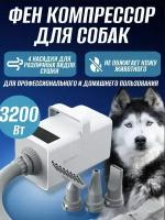 Фен компрессор для сушки шерсти собак и кошек 3200 Вт