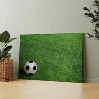 Картина на холсте (футбольное поле для мяч на траве) 30x40 см/для интерьера/в комнату/на стену/в подарок