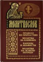 Молитвослов Правило ко причастию Молитвы за ближних Каноны и акафисты Молитвы на всякую потребу