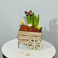 "Первоцветы в телеге" - гиацинты в деревянном кашпо для мамы, бабушки, любимой, подарок к 14 февраля