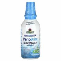 Nature's Answer, PerioBrite, ополаскиватель для рта, зимняя мята, 480 мл (16 жидк. унций)