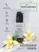 Стручки ванили 50 г сорта Planifolia (Бурбон). 18-22 см