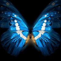 Картина на стекле «Бабочка голубая» 40х40 см