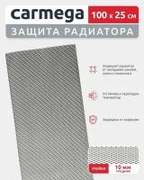 Универсальная сетка для защиты радиатора в бампер автомобиля 1000*250, ячейка 10 мм черная