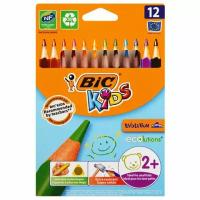 Карандаши цветные утолщенные BIC "Kids Evolution Triangle", 12 цветов, пластиковые, трехгранные, картонная упаковка, 8297356