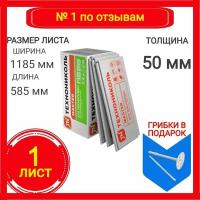 Утеплитель технониколь техноплекс CARBON ECO из экструзионного пенополистирола 50х585х1185мм (1 плита)