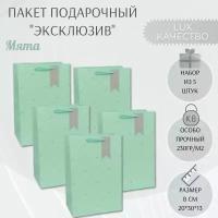 Набор бумажных подарочных пакетов 20х30х13 см. "Эксклюзив - Мята" 5 шт