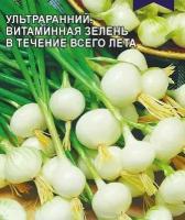 Коллекционные семена лука на зелень и мини-головку Ранний Пучок