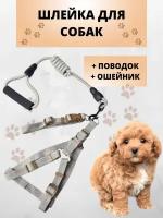 Шлейка для кошек и собак (в комплекте поводок, ошейник, шлейка), серый, размер S