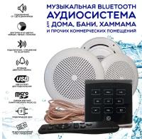 Влагостойкая bluetooth аудиосистема для дома, бани, сауны и хамама SW3 Black ECO(черный)