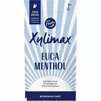 ксилитовая жевательная резинка Fazer Xylimax Eucamenthol 38 г (Из Финляндии)