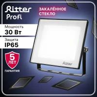 Прожектор светодиодный уличный Ritter Profi 53407 9 30 Вт 3000 Лм 180-240В холодный белый свет 6500К IP65 черный