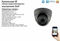 DVS300IP5MP. Внутренняя IP камера 5мП с ИК до 20м