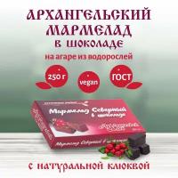 Архангельский мармелад клюква в шоколаде натуральный на агар-агаре без обсыпки из сахара 250 г