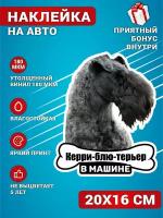 Наклейки на авто стикеры на стекло на кузов авто Керри блю терьер собака в машине 20х16 см