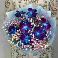 Букет синие орхидеи с гипсофилой