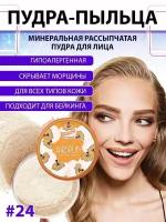 Пудра для лица AIRSPUN фиксирующая матирующая рассыпчатая для фиксации макияжа, тон 24