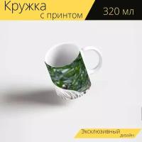 Кружка с рисунком, принтом "Белый тигр, тигры, кошка" 320 мл