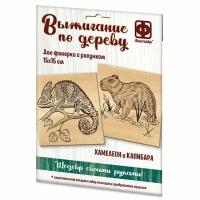 Основа для выжигания Хамелеон и Капибара 14,6х14,6 см, 2 шт 364102