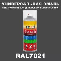 Универсальная аэрозольная эмаль, матовая, RAL 7021