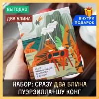 Авторский набор Шу Пуэр "Пуэрзилла" и "Шу Конг" от Чайной мастерской