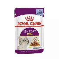 Влажный корм Royal Canin Sensory Smell для стимуляции рецепторов обоняния у кошек, кусочки в желе 85г. х 12шт