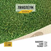 Линолеум напольный на отрез IVC, коллекции Neo, "Grass 025". Бытовой линолеум 4х2,5 для пола в рулоне 22 класса