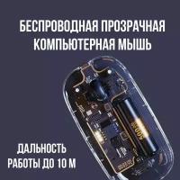 Мышь прозрачная