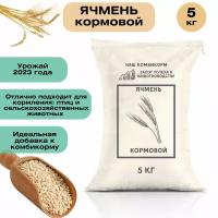 Ячмень кормовой 5 кг. Незаменимый продукт для кормления крупного рогатого скота, свиней, овец, домашней птицы и рыб. Для полноценного питания