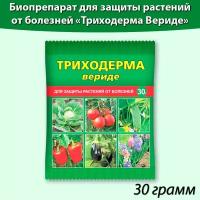 Триходерма Вериде, биопрепарат для защиты растений от болезней, 30 грамм