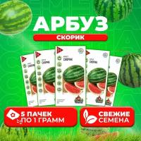 Арбуз Скорик, 1,0г, Удачные семена (5 уп)