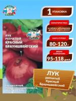 Лук репчатый Красный Брауншвейгский