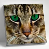 Мозаика алмазная 30х30 см Бенгальская кошка Molly