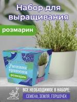 Коллекция наборов для выращивания "Растите пряности. Розмарин"