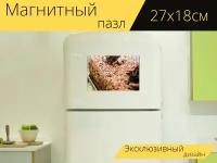 Магнитный пазл "Торт, изделия сахаристые кондитерские, пирожные" на холодильник 27 x 18 см