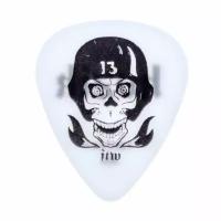 BL46R073 Frank Kozik FTW Skull Медиаторы 36шт, толщина 0.73мм, Dunlop