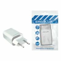 Сетевой адаптер ELX-РA01P-C01 промо (1USB, 100-220В, 5-9V/2А, Белый, Пакет) ERGOLUX