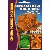 Гинкго двулопастный / Ginkgo biloba, редкий экзотический реликт ( 1 уп: 3 семени )