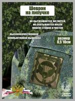 Шеврон Рота Охраны 38 мультикам