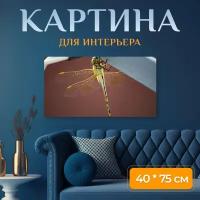 Картина на холсте "Стрекоза, крылья, крылатое насекомое" на подрамнике 75х40 см. для интерьера