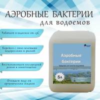 Аэробные бактерии 5л - Для альголизации водоемов